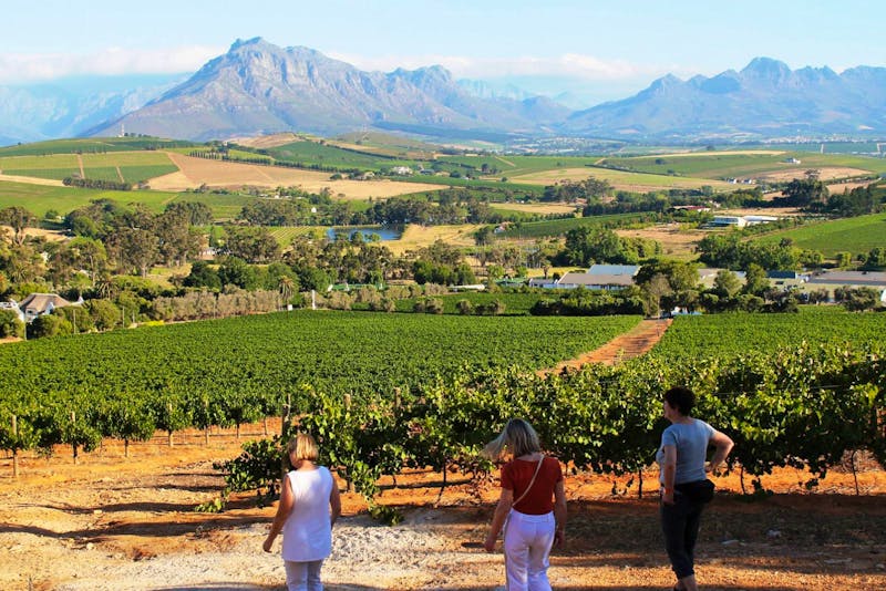 Devon Valley in der Weinregion Südafrikas - ©Annett Müller - Eberhardt TRAVEL
