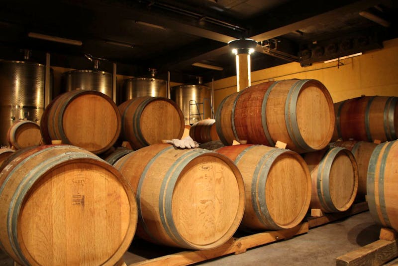 Weingut bei Franschhoek - ©Kristin Weigel - Eberhardt TRAVEL