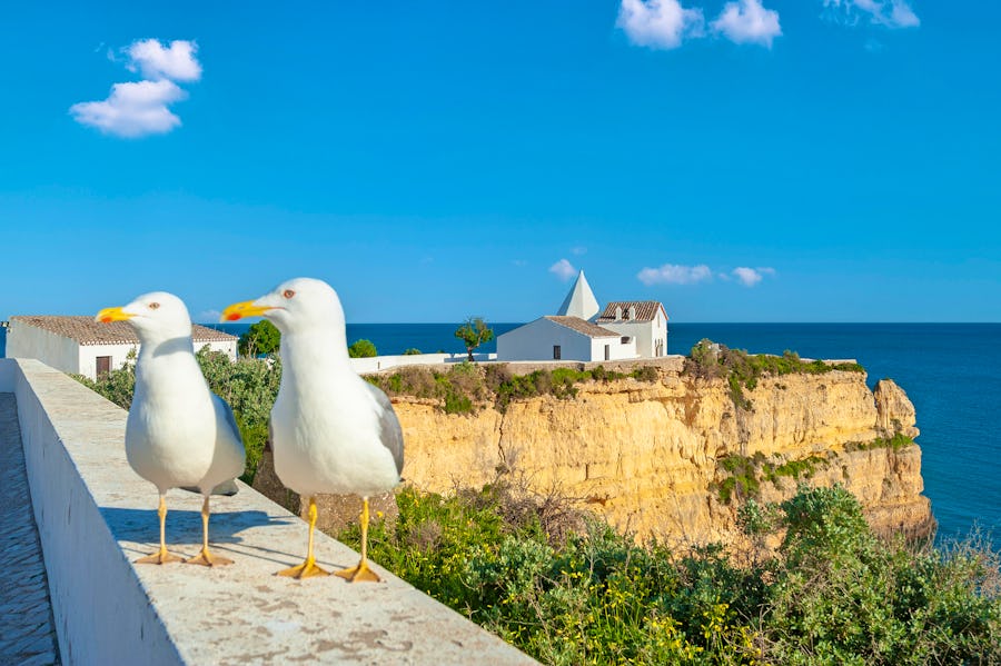 Küste von Armacao de Pera an der Algarve – © Jürgen Wackenhut - stock.adobe.com