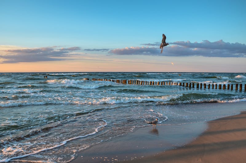 Am Ostsee-Strand bei Mielno - ©Krzysztof Gach - stock.adobe.com
