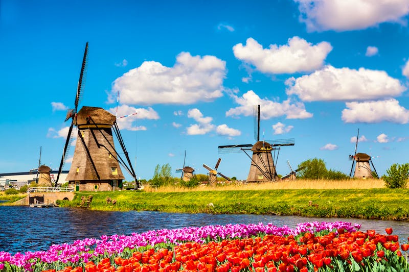 Kinderdijk - historische Holländer-Windmühlen zur Tulpenblüte - ©Nikolay N. Antonov - stock.adobe.com