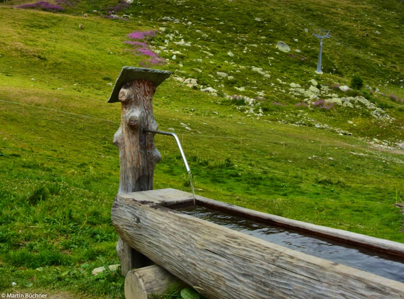 Fiescher Alp (2.224 m) - ©Martin Büchner