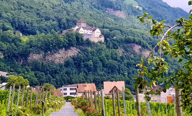 Vaduz - Blick von der Hofkellerei zum Schloss - &copy;Eberhardt TRAVEL GmbH - Marion Kottlos