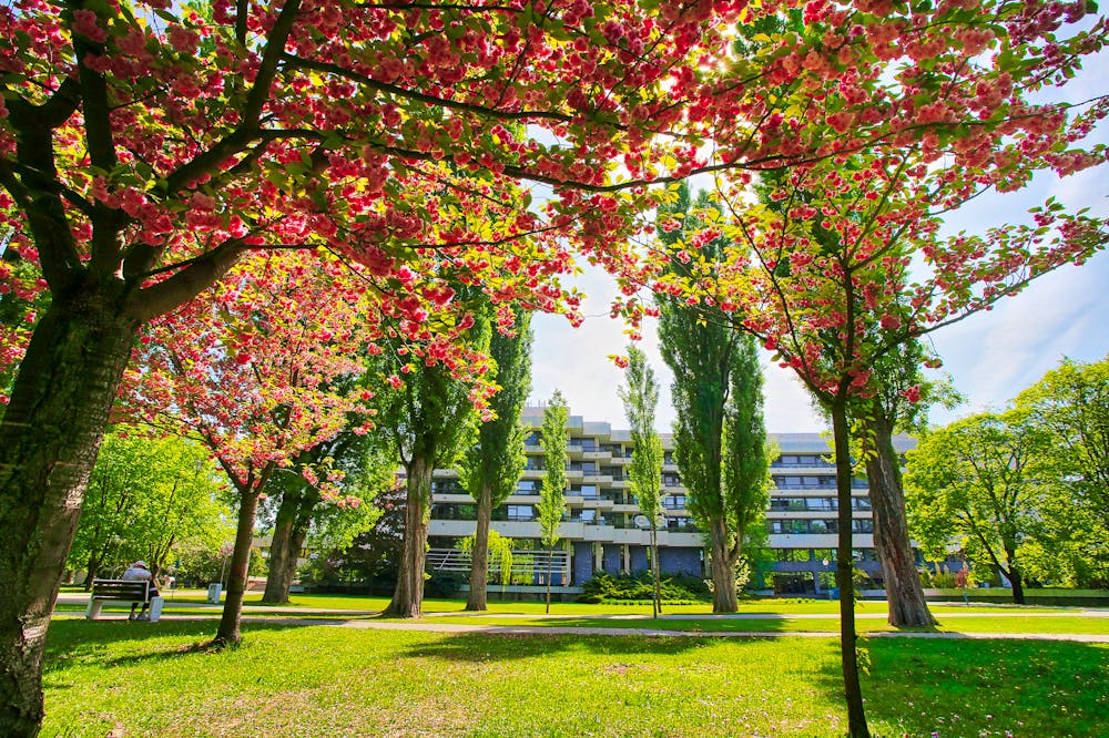 Ensana Esplanade Health Spa Hotel in Piestany &ndash; &copy; Danubius Esplanade in Piestany