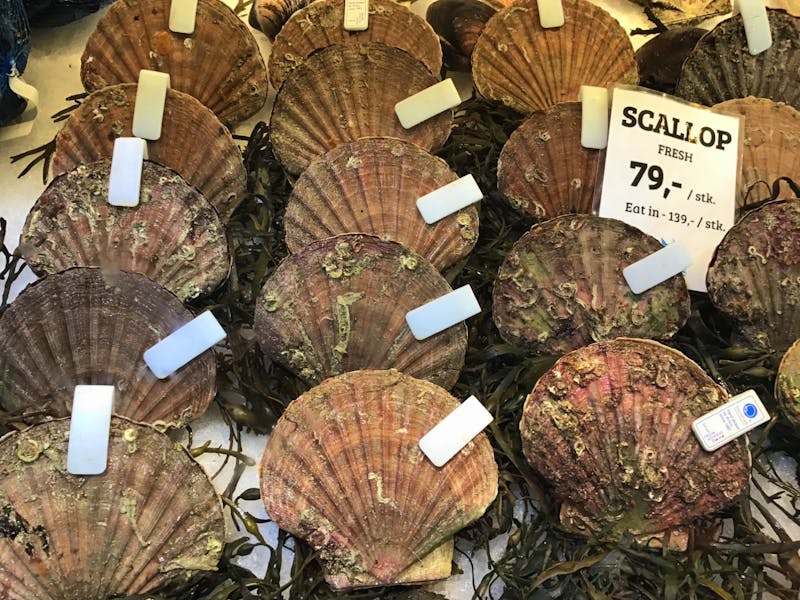 Fischmarkt in Bergen - Norwegen  - &copy;Sabine Letzybyll - Eberhardt TRAVEL