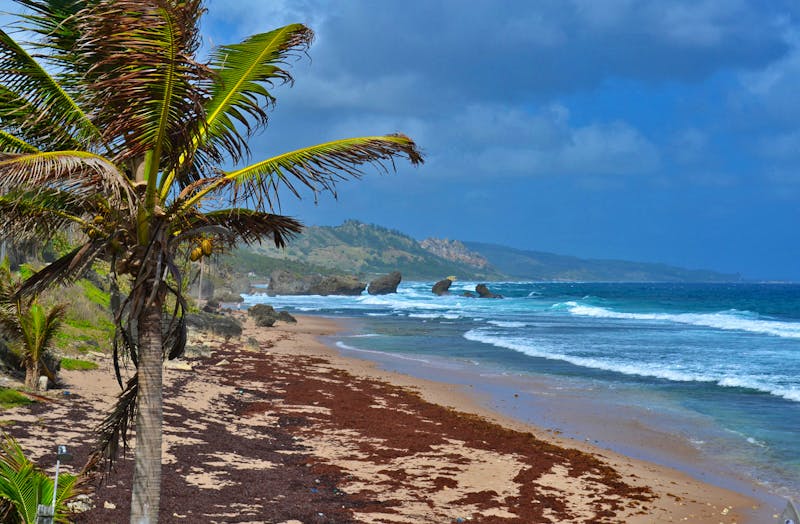 Inselrundfahrt auf Barbados - ©Laura Wonneberger - Eberhardt TRAVEL
