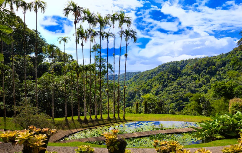 Balata Garten auf der Insel Martinique - ©kovalenkovpetr - stock.adobe.com
