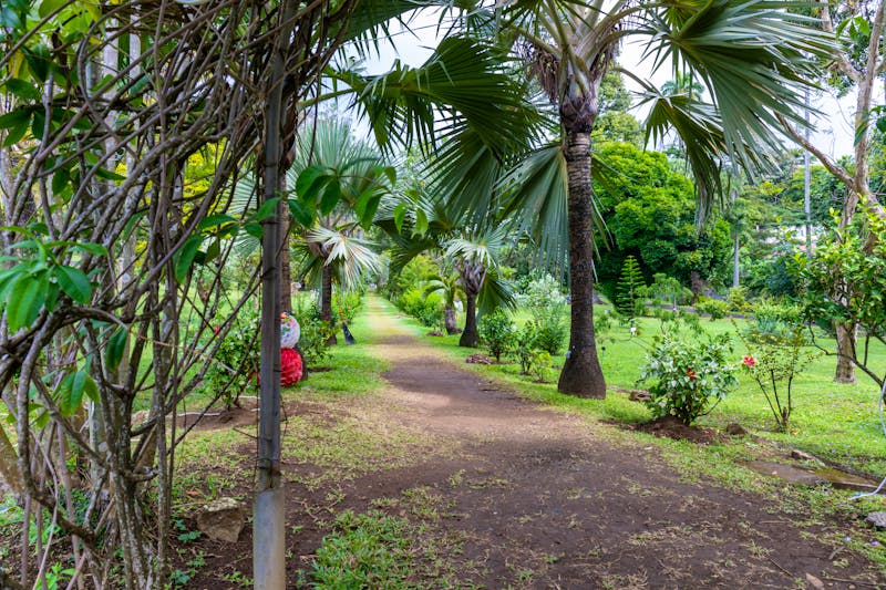 Botanischer Garten auf der Insel Saint Vincent - ©chromoprisme - stock.adobe.com