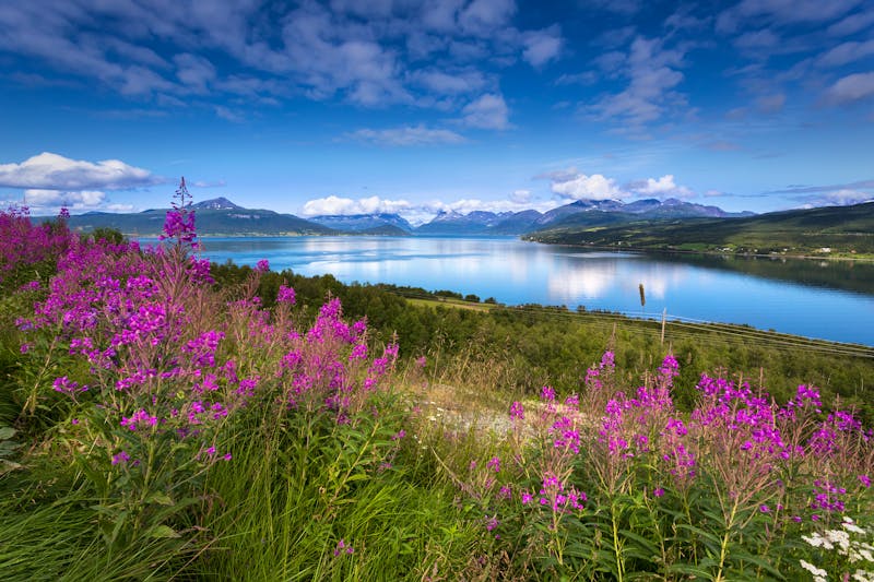 Lyngenalpen in Nord-Norwegen - ©Yauheni Matsiushenkau (matiushenkov@tut.by) - Adobe Stock