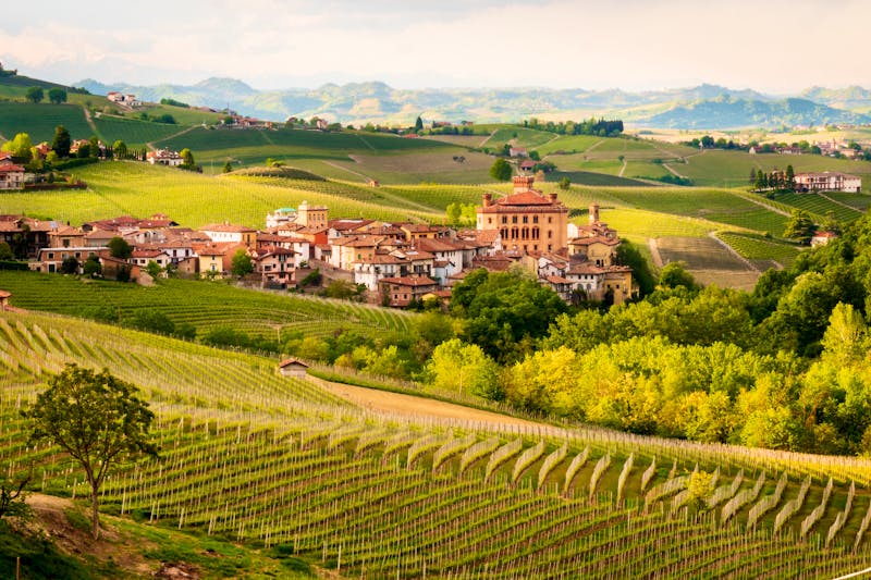 Weinberge in Barolo - ©Edgar - stock.adobe.com