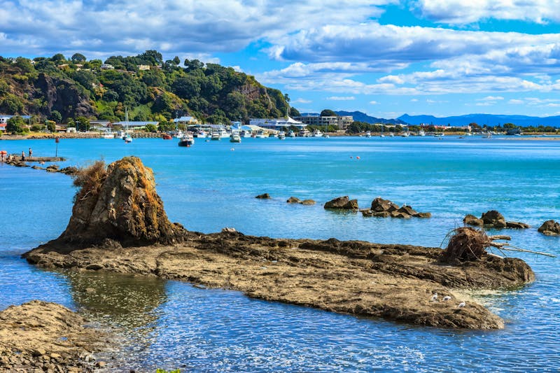Whakatane in der Bay of Plenty - ©Michael - stock.adobe.com