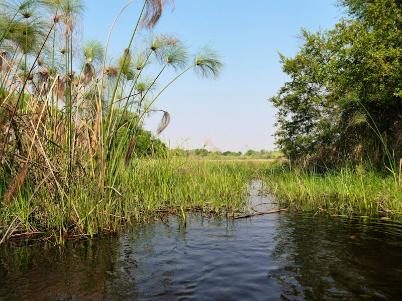 Mokoro Tour im westlichen Delta - ©Annett Müller