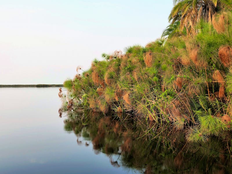 Bootstour im westlichen Delta - Guma Lagoon - ©Annett Müller