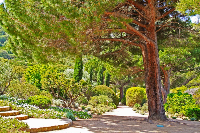 Parc de Saleccia auf Korsika - ©Estelle R - stock.adobe.com