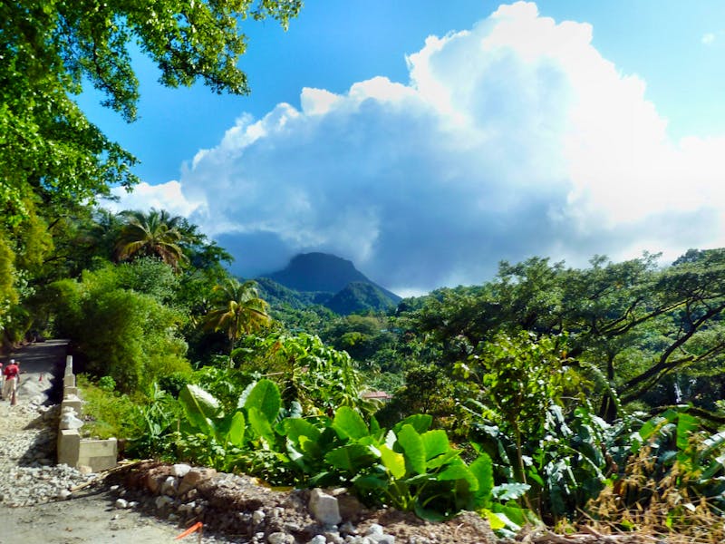 Regenwald auf der Karibik-Insel Dominica - ©Anna Stiebing - Eberhardt TRAVEL