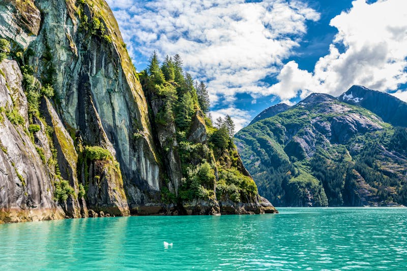 Klippen im Tracy Arm Fjord - ©Matt - stock.adobe.com