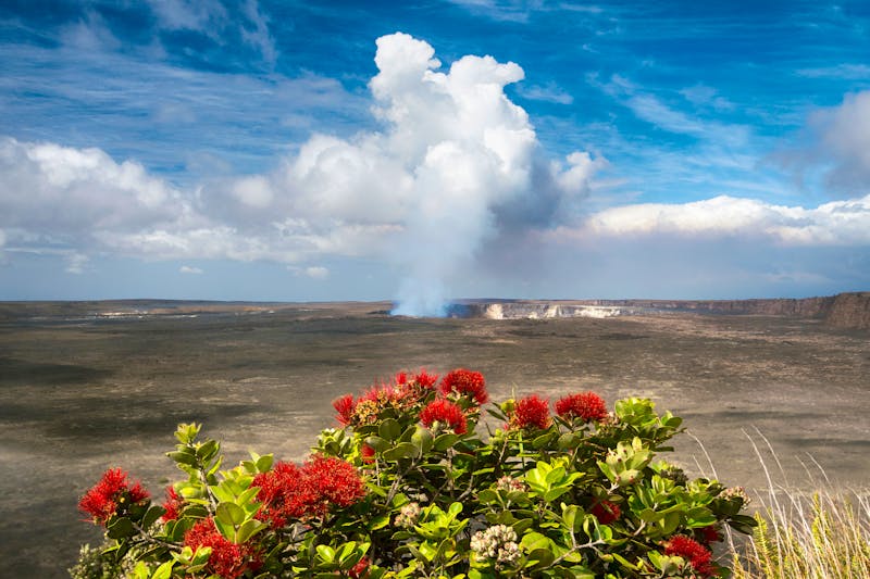 Kilauea Vulkan auf Big Island - Hawaii - ©Michael Treloar - stock.adobe.com