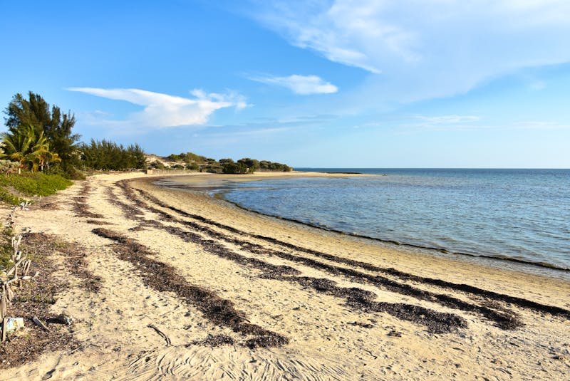 Vormittag am Strand von Ifaty - ©hhelene - stock.adobe.com
