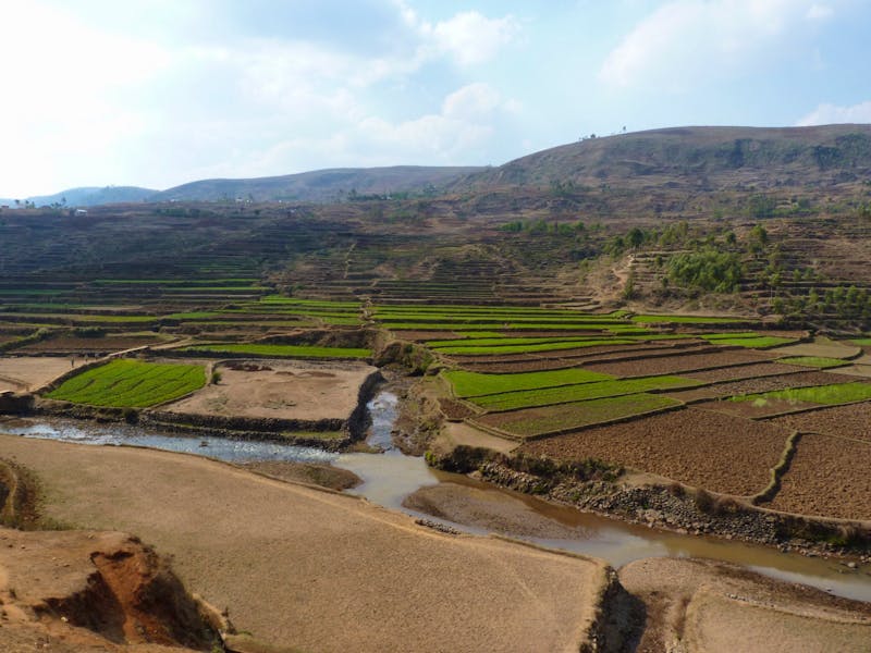 Blick auf die Reisfelder zwischen Antananarivo und Antsirabe - ©Jens Petzoldt - Eberhardt Travel