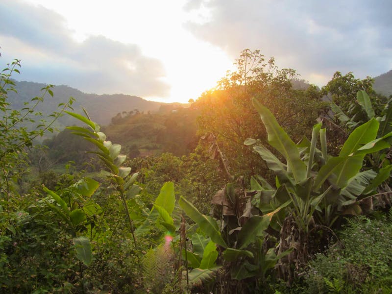 Ranomafana Nationalpark - ©Daniela Paulan - Eberhardt Travel