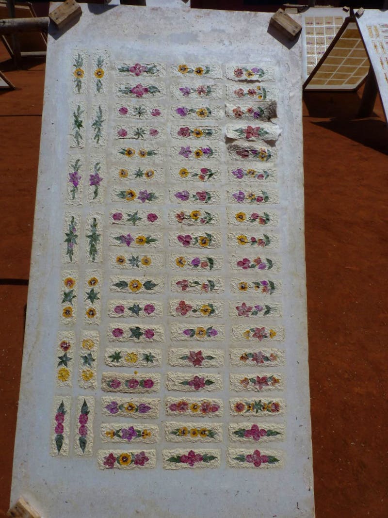 Herstellung des Antemoro-Papier in Antemoro - ©Jens Petzoldt - Eberhardt Travel