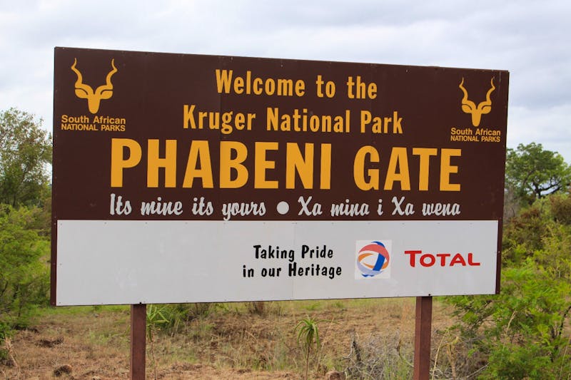 Pirschfahrt im Krüger Nationalpark - &copy;Claudia Kleber - Eberhardt Travel