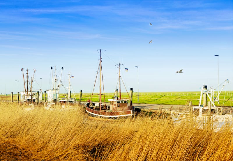 Nordseeküste in Ostfriesland - idyllischer Kutterhafen - ©Gabriele Rohde - stock.adobe.com
