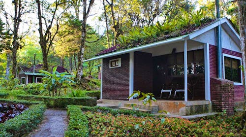 Bungalow – © Ecolodge Selva Negra