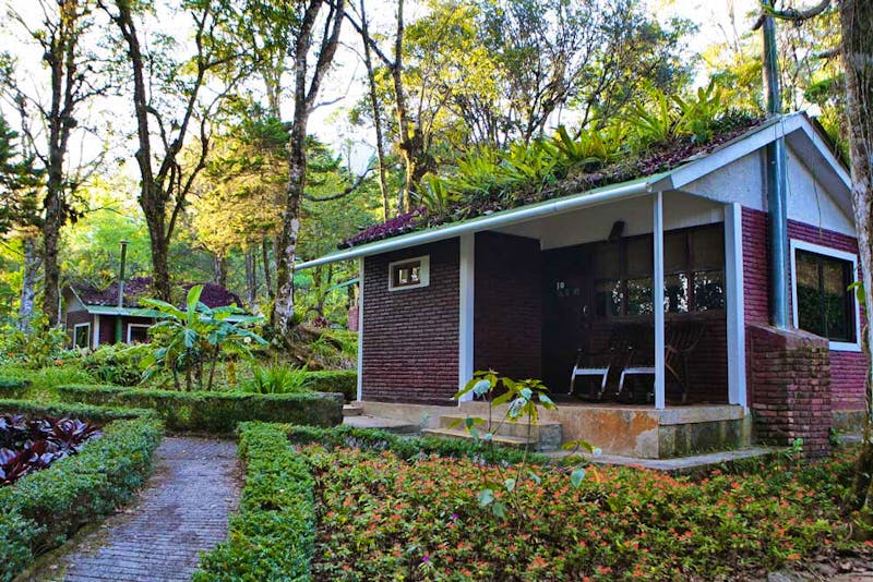 Bungalow - ©Ecolodge Selva Negra