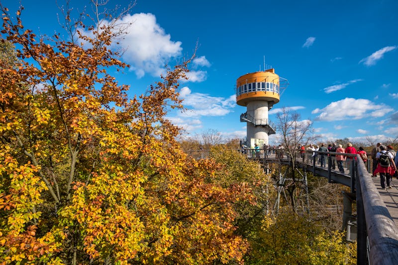 Baumkronenpfad im Nationalpark Hainich – © Henry Czauderna - stock.adobe.com
