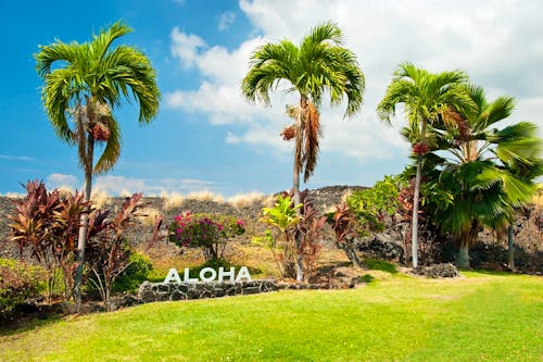 Aloha Schriftzug auf Big Island - Hawaii &ndash; &copy; Vaclav Schindler - stock.adobe.com