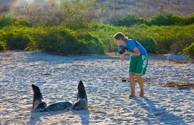 Seelöwen hautnah erleben auf Galapagos - ©JUAN CARLOS MUNOZ - stock.adobe.com