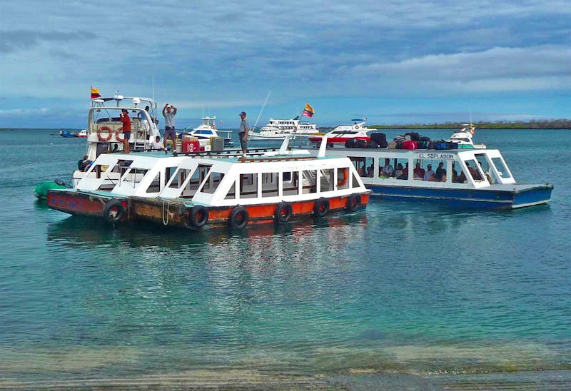 Bootsausflug Santa Cruz - Galapagos - ©Betina Marinow - Eberhardt TRAVEL
