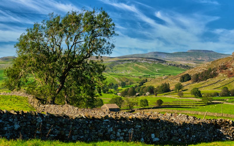 Landschaft der Yorkshire Dales - ©psc-photography - stock.adobe.com