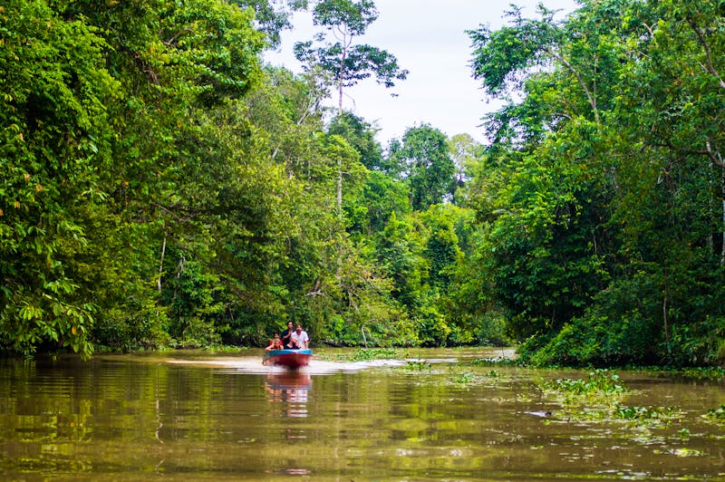 Kinabatangan Fluss im Norden von Borneo - ©fisher_y - stock.adobe.com