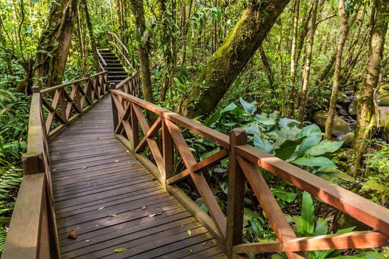 Kinabalu Park - Region Sabah, Malaysia - ©Matyas Rehak - stock.adobe.com