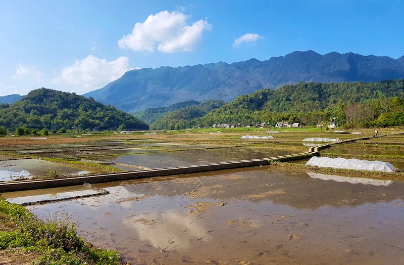 Reisterrassen im Bergland von Mai Chau - ©Jörg Nesse - Eberhardt TRAVEL