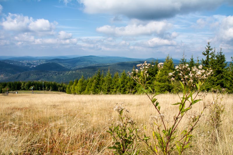 Riesengebirge bei Harrachov - ©Daniela - stock.adobe.com