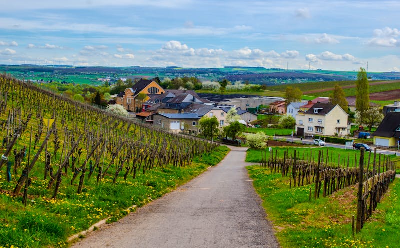Winzerort Remich an der Mosel - ©dudlajzov - stock.adobe.com