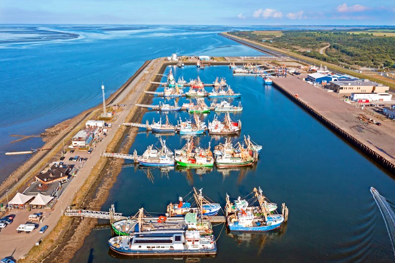 Hafen von Lauwersoog in Friesland - Niederlande - ©Nataraj - stock.adobe.com