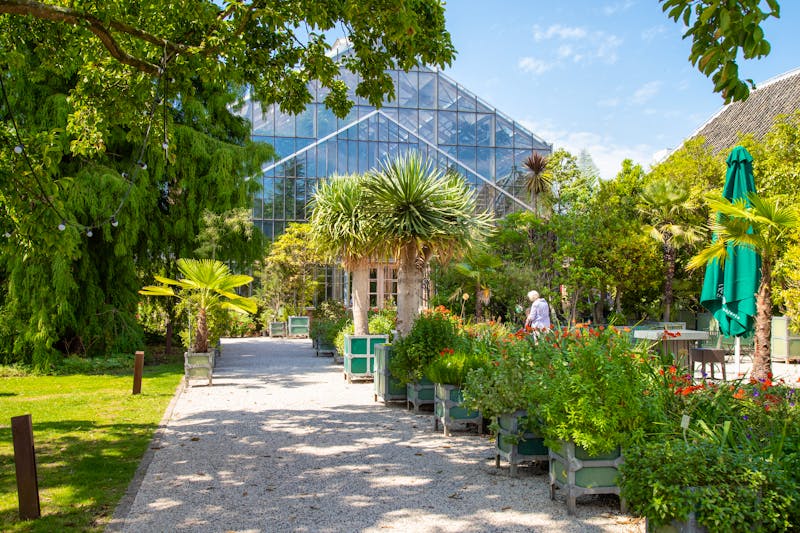 Hortus Botanicus in Leiden - Holland - ©Jan van der Wolf - stock.adobe.com