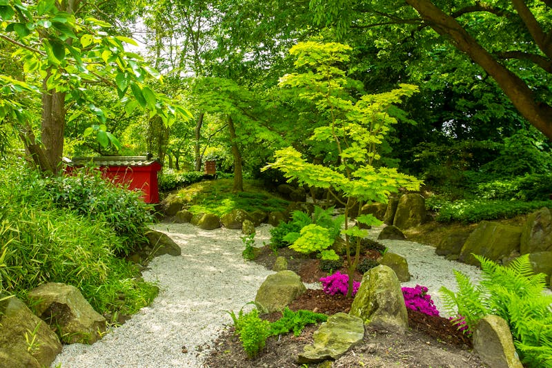 Japanischer Garten im Hortus Botanicus Leiden - ©Yakhin Marat - stock.adobe.com