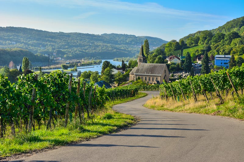Weindorf Schengen an der Mosel - ©Luc Kohnen - stock.adobe.com