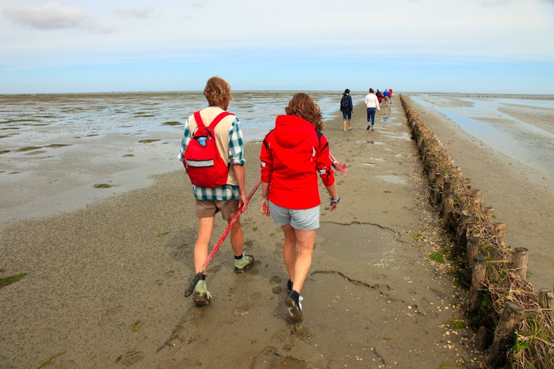 UNESCO Weltnaturerbe Wattenmeer - Wattwanderung - ©PANORAMO - stock.adobe.com