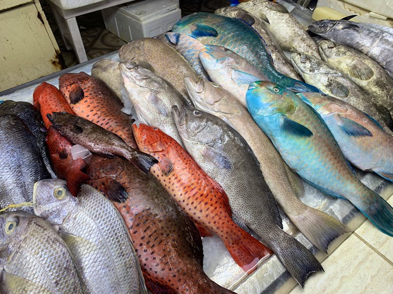 Fischmarkt in Jeddah - ©Patrick Fritzsche - Eberhardt TRAVEL