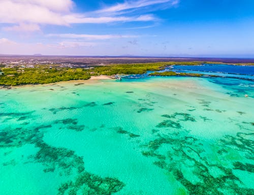 Traumstrand auf der Galapagos-Insel Isabela – © Jose - stock.adobe.com