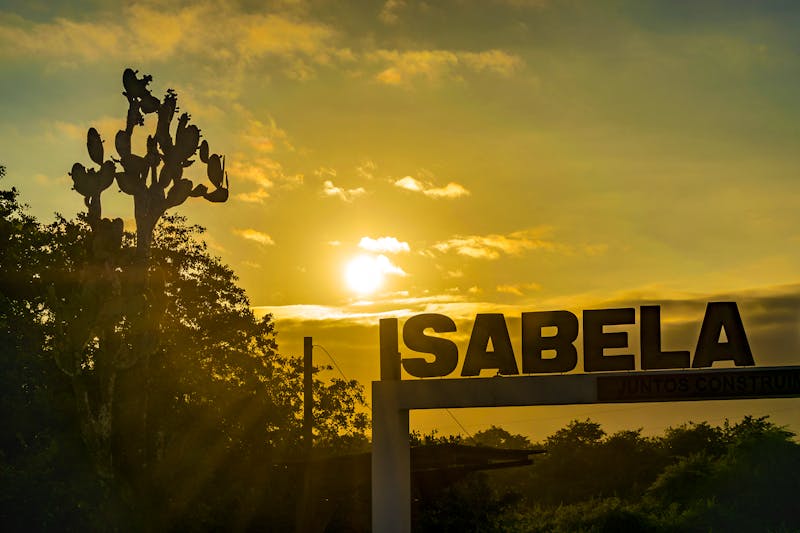 Galapagos-Insel Isabela - ©danflcreativo - stock.adobe.com