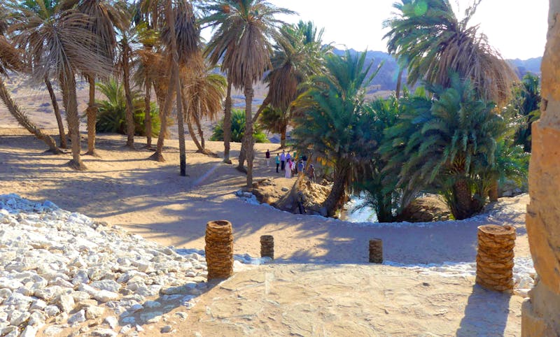 Moses Quellen im Tal von Maqna - Springs of Moses - ©Frank Nimschowski - Eberhardt TRAVEL