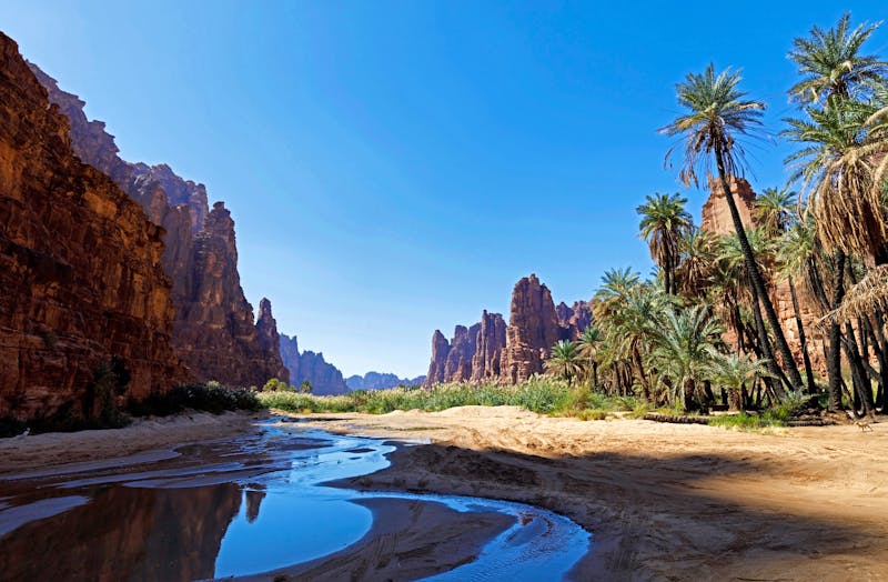 Wadi Disah im Nordwesten Saudi-Arabiens - ©Fredy Thürig - stock.adobe.com
