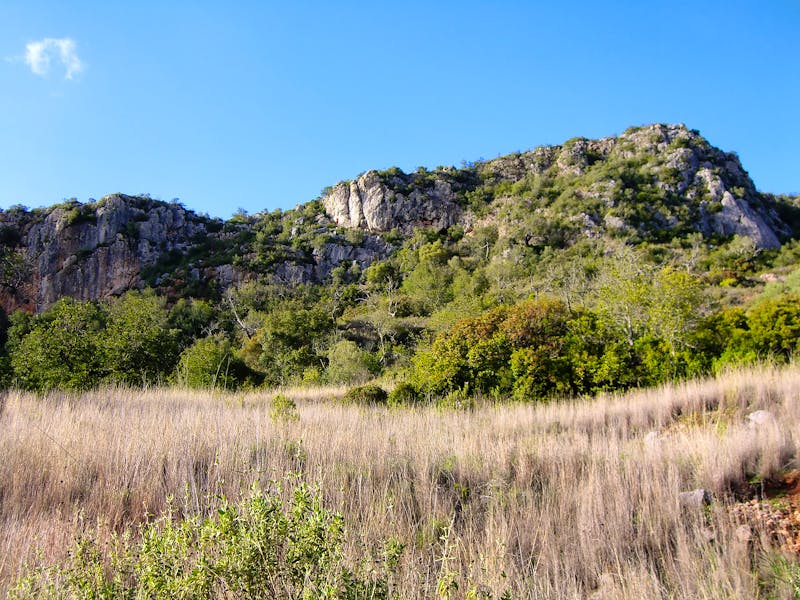 Rocha da Pena - Felsen im Süden Portugals - ©Mauro Rodrigues - stock.adobe.com
